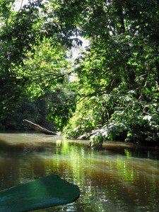 in barca al Parco Tortuguero Costa Rica